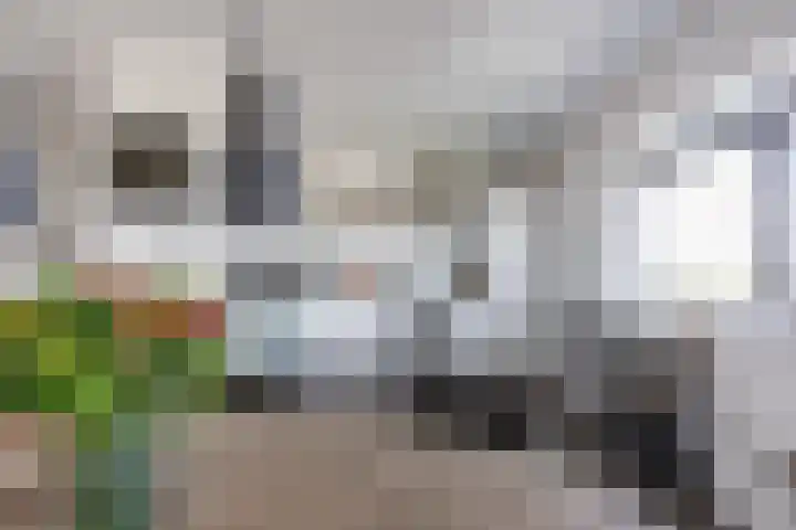 Regattaweg 408 Groningen thumbnail 14