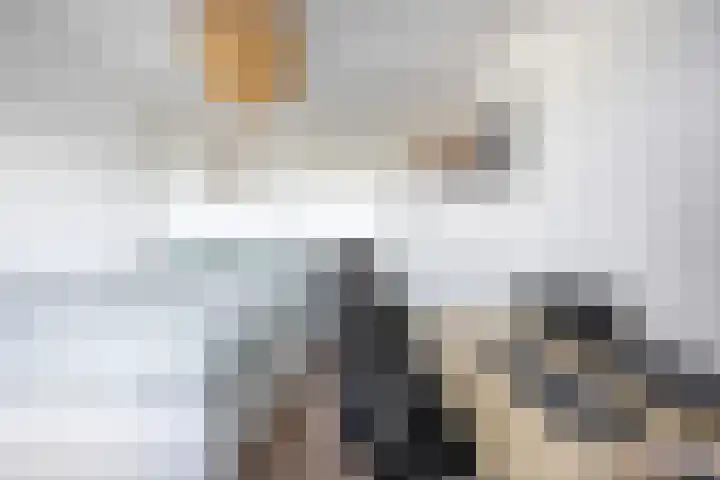 Regattaweg 408 Groningen thumbnail 25
