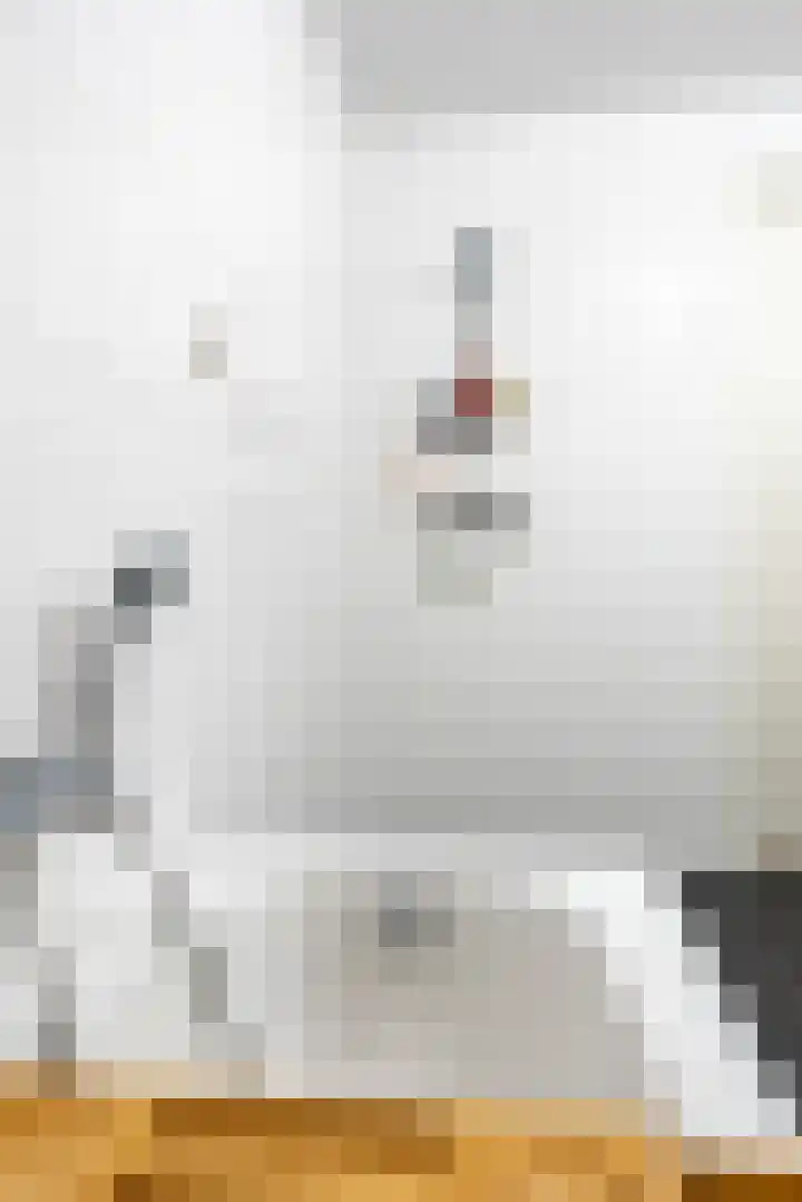 Regattaweg 408 Groningen thumbnail 27
