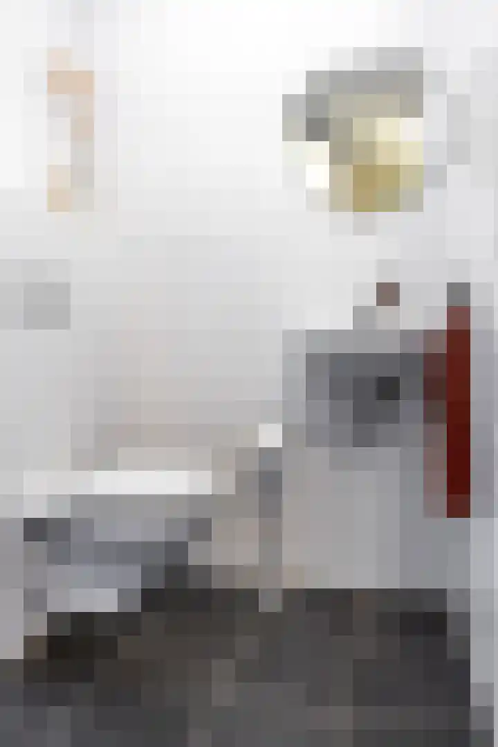 Regattaweg 408 Groningen thumbnail 31
