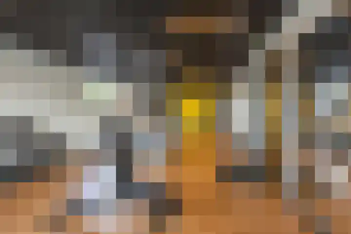 Regattaweg 408 Groningen thumbnail 38
