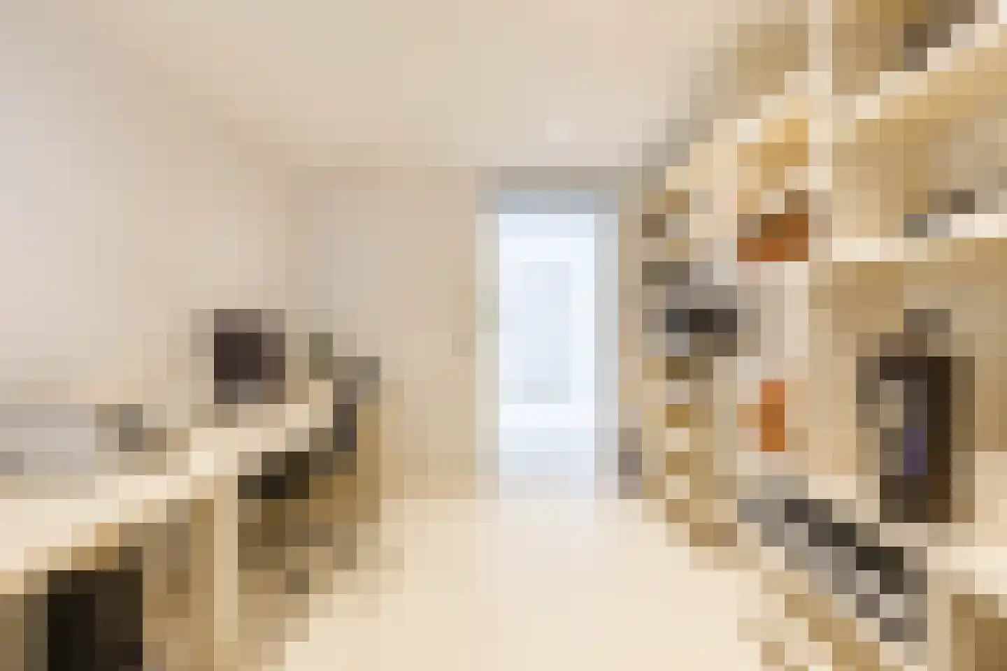 Regattaweg 418 Groningen thumbnail 13