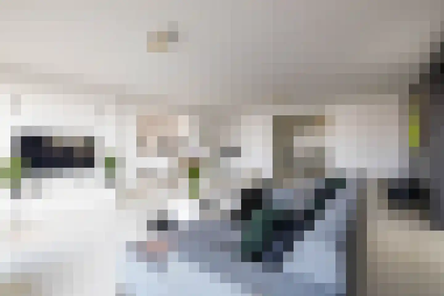 Regattaweg 418 Groningen thumbnail 19
