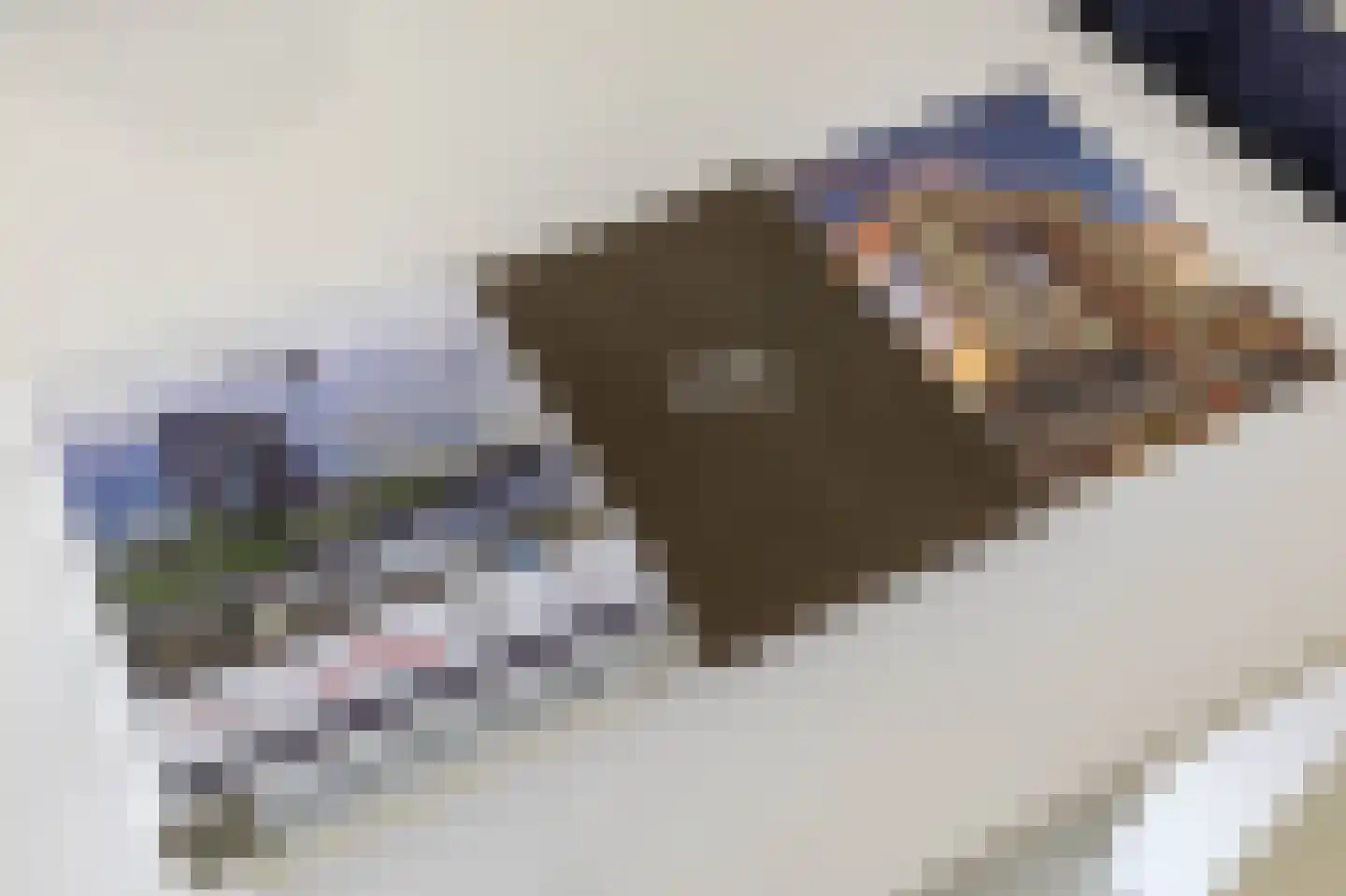 Regattaweg 418 Groningen thumbnail 30
