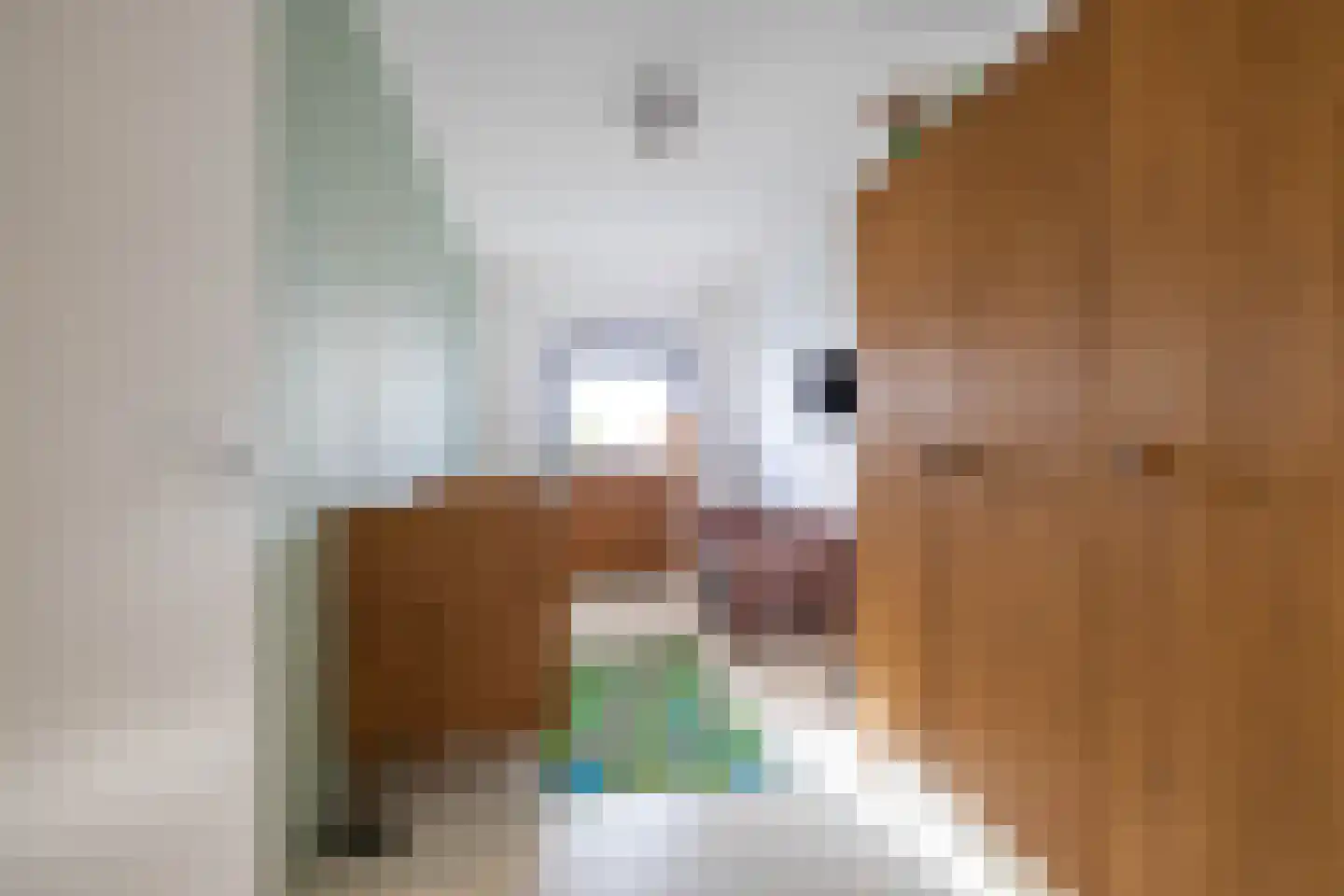 Regattaweg 418 Groningen thumbnail 48
