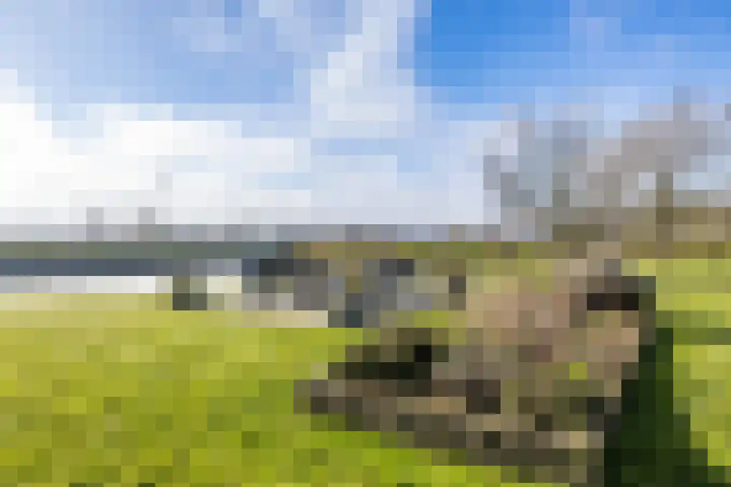 Regattaweg 418 Groningen thumbnail 67