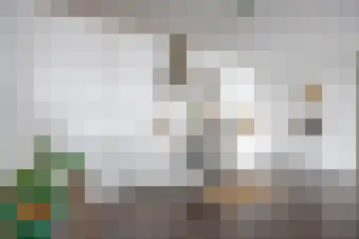 Regattaweg 424 Groningen thumbnail 13