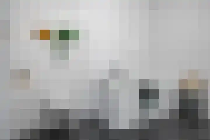 Regattaweg 424 Groningen thumbnail 19
