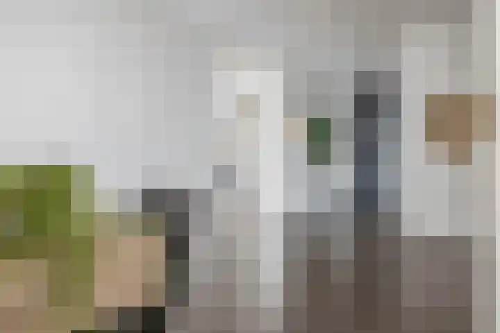 Regattaweg 424 Groningen thumbnail 21