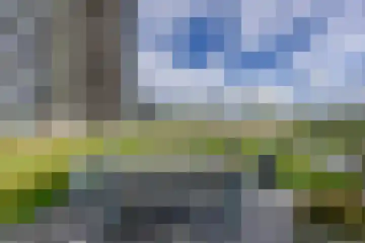 Regattaweg 424 Groningen thumbnail 23