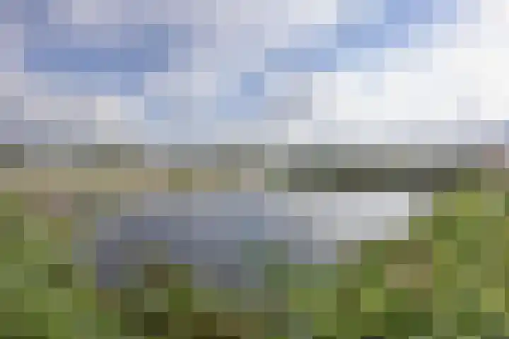 Regattaweg 424 Groningen thumbnail 24