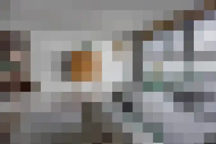 Regattaweg 424 Groningen thumbnail 9