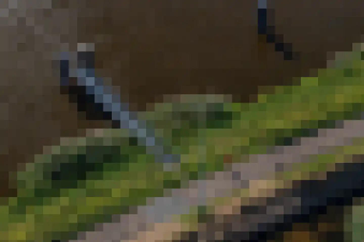 Regattaweg 454 Groningen thumbnail 38