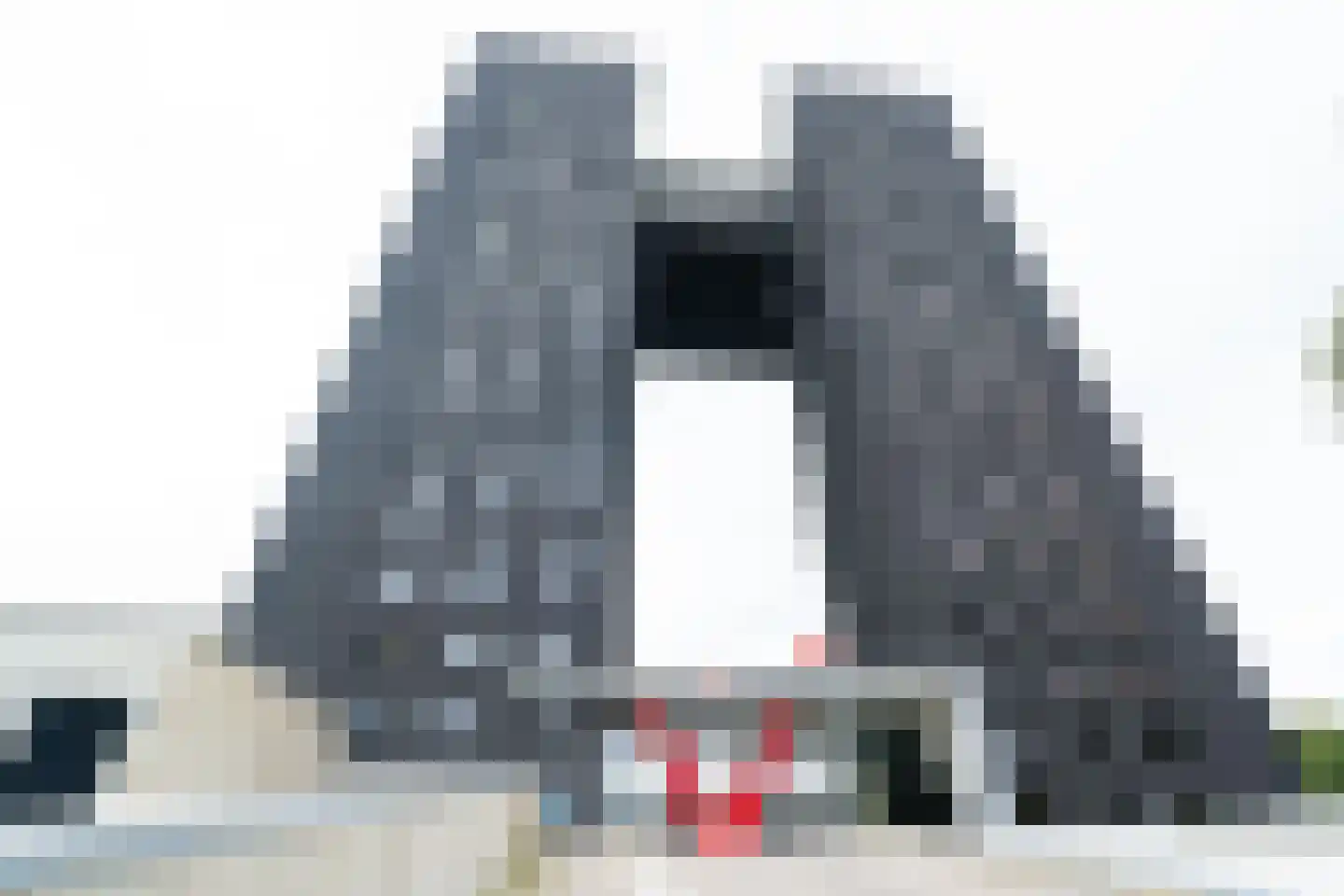 Regattaweg 454 Groningen thumbnail 4