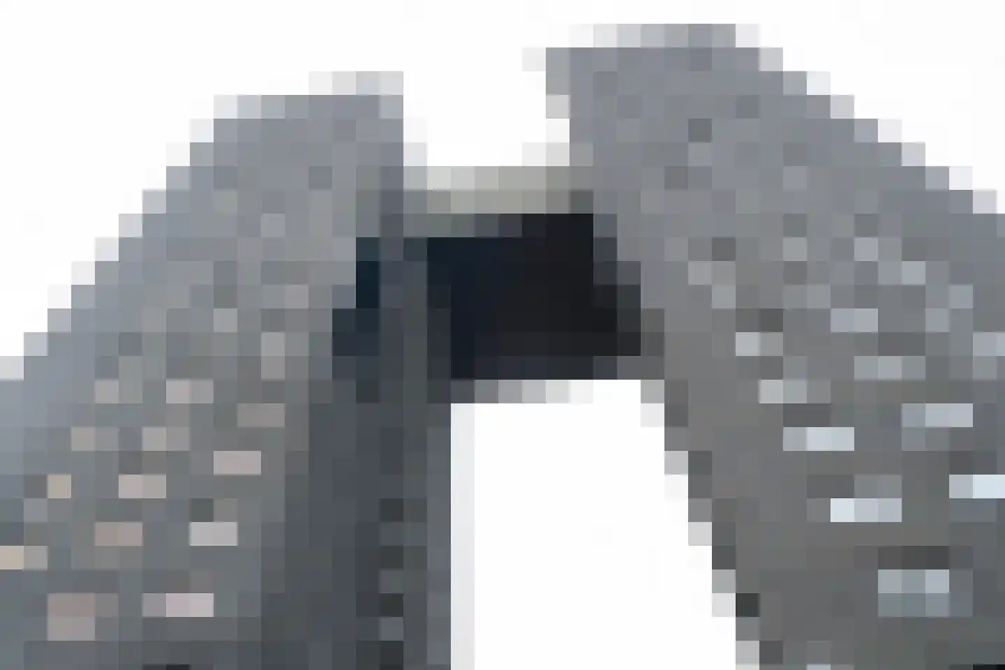 Regattaweg 454 Groningen thumbnail 61