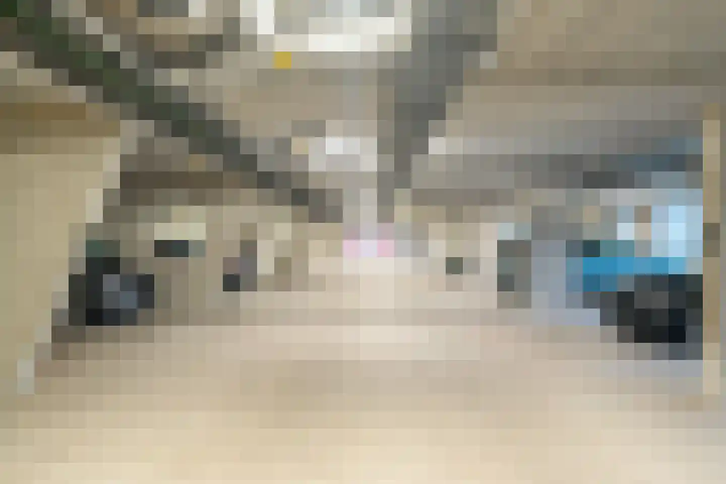 Regattaweg 454 Groningen thumbnail 65