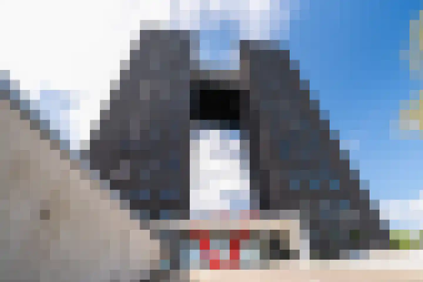 Regattaweg 454 Groningen thumbnail 75