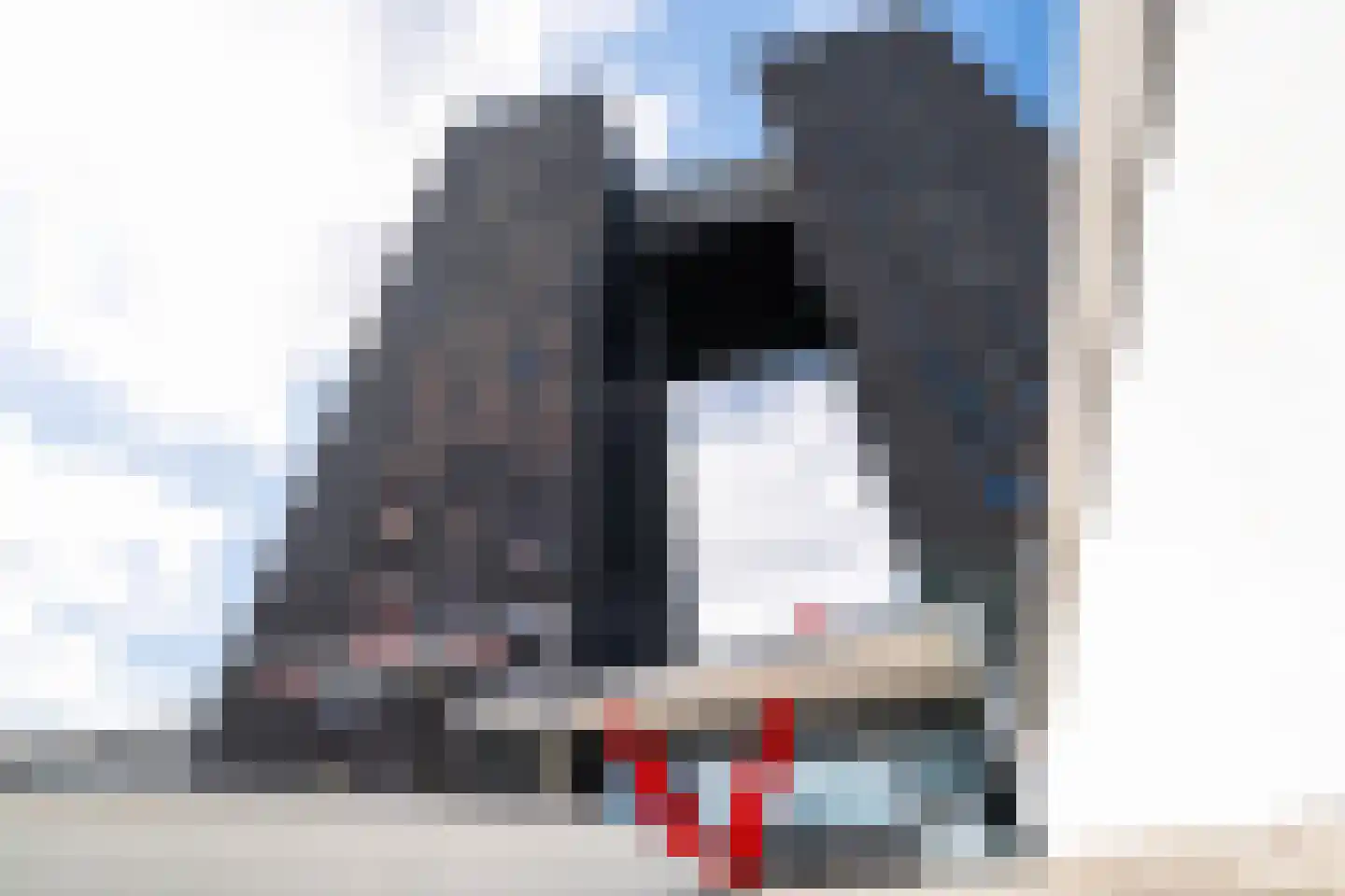 Regattaweg 454 Groningen thumbnail 76