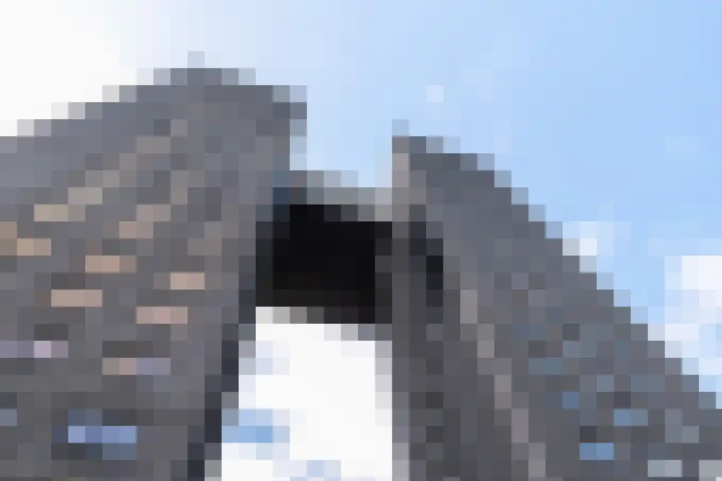 Regattaweg 454 Groningen thumbnail 77