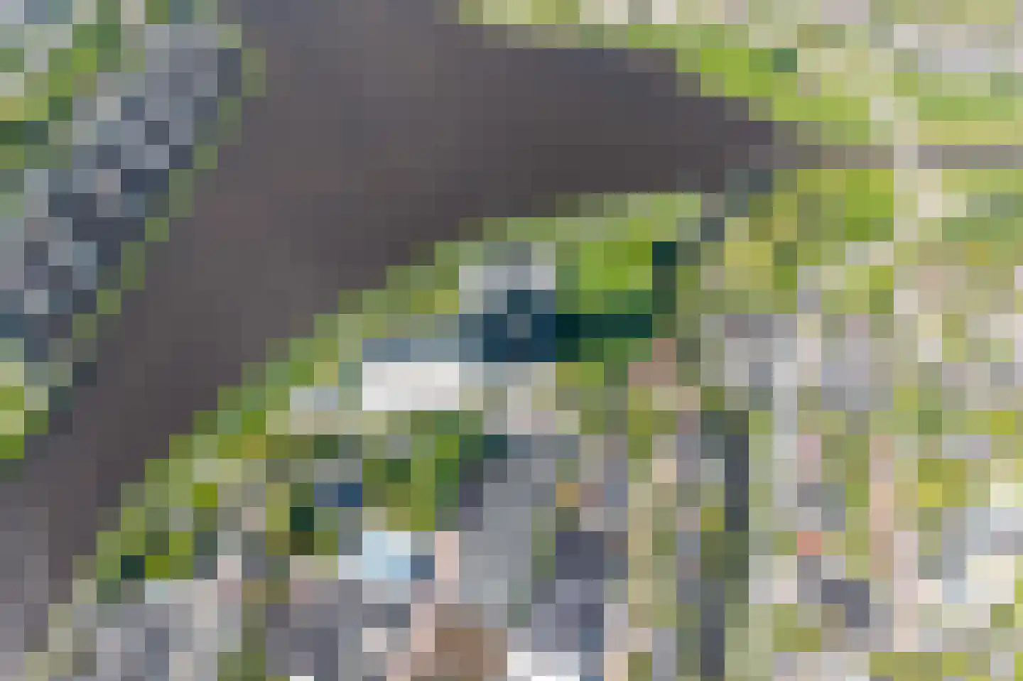 Regattaweg 454 Groningen thumbnail 86
