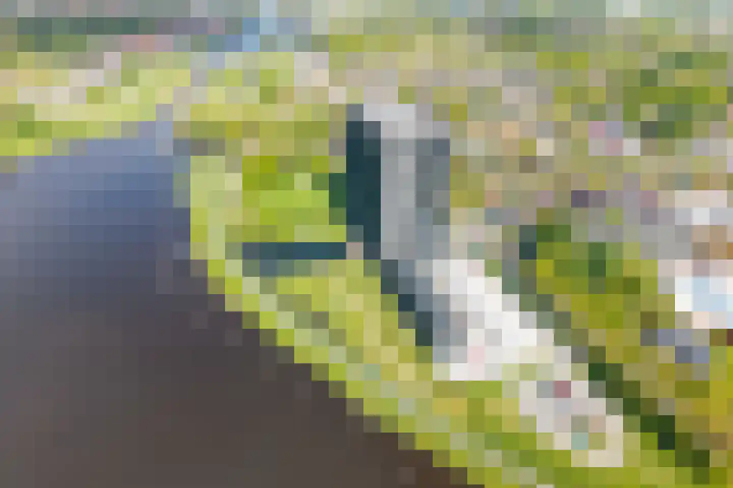 Regattaweg 454 Groningen thumbnail 88