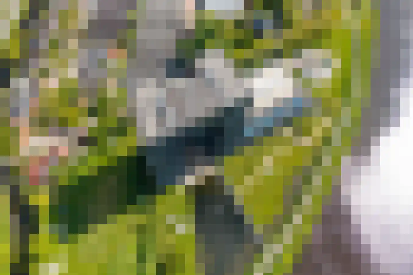 Regattaweg 454 Groningen thumbnail 89