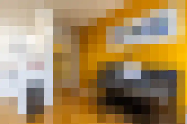 Regattaweg 50 Groningen thumbnail 13