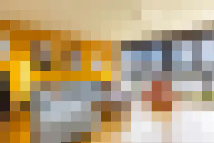 Regattaweg 50 Groningen thumbnail 16