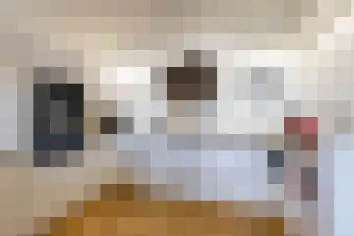 Regattaweg 50 Groningen thumbnail 22