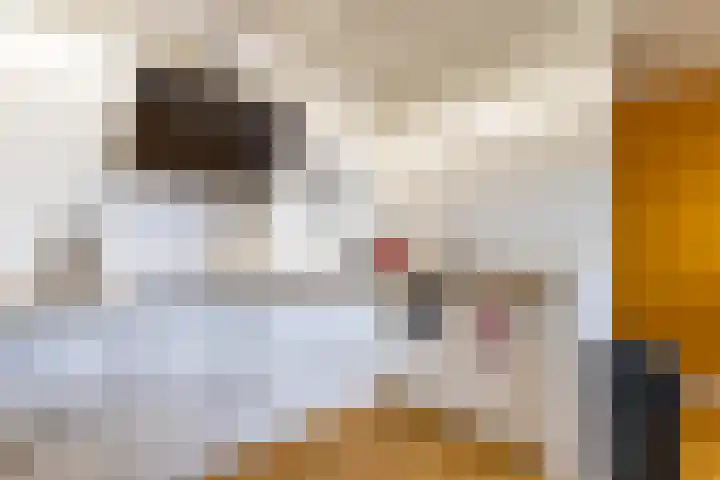 Regattaweg 50 Groningen thumbnail 23
