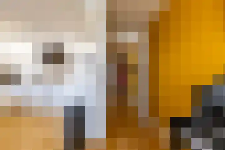 Regattaweg 50 Groningen thumbnail 25