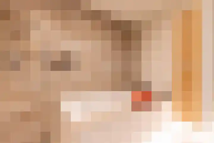 Regattaweg 50 Groningen thumbnail 34