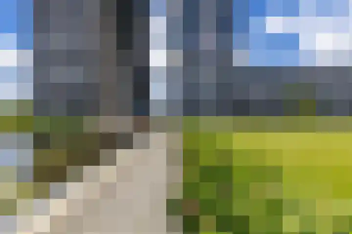 Regattaweg 50 Groningen thumbnail 4