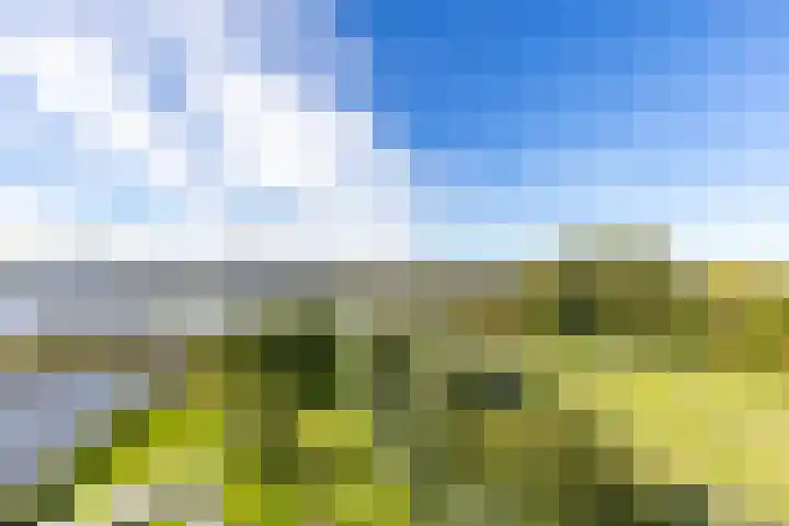Regattaweg 50 Groningen thumbnail 5
