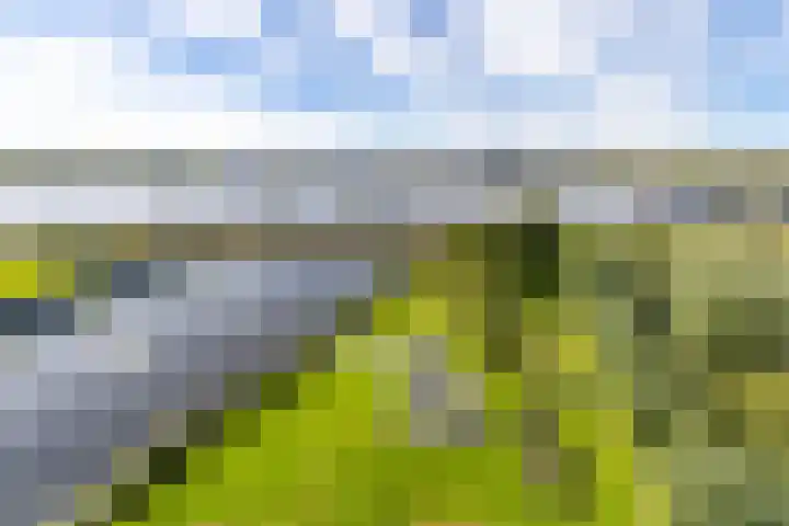 Regattaweg 50 Groningen thumbnail 6
