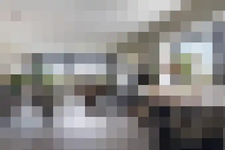 Regattaweg 78 Groningen thumbnail 21