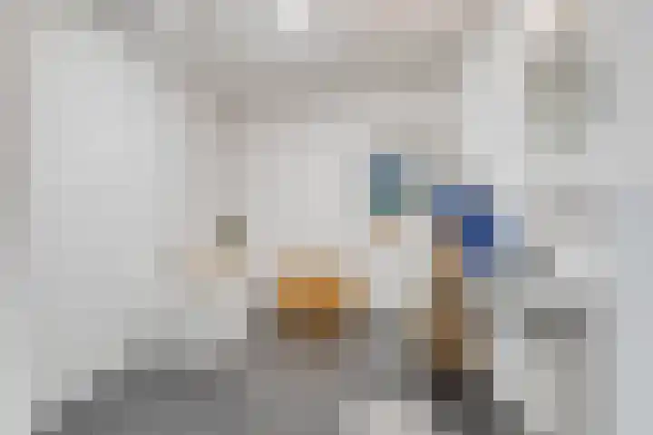 Regattaweg 78 Groningen thumbnail 28