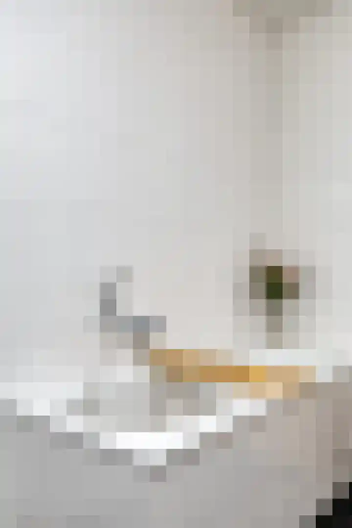 Regattaweg 78 Groningen thumbnail 29