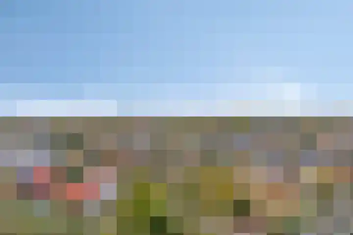 Regattaweg 78 Groningen thumbnail 32