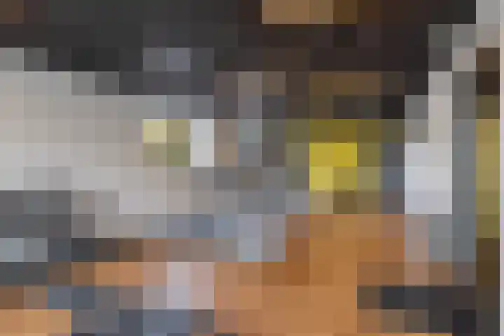 Regattaweg 78 Groningen thumbnail 34