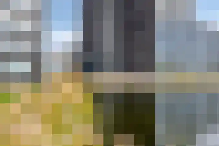 Regattaweg 78 Groningen thumbnail 42