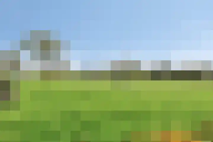 Regattaweg 78 Groningen thumbnail 44