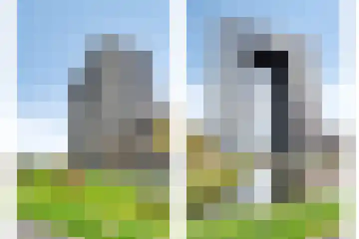 Regattaweg 78 Groningen thumbnail 46
