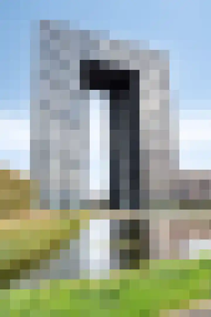 Regattaweg 78 Groningen thumbnail 5