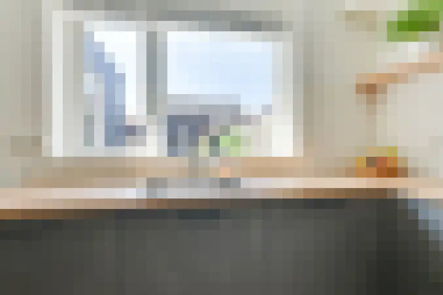 Regelhaalder 11 Warmenhuizen thumbnail 19