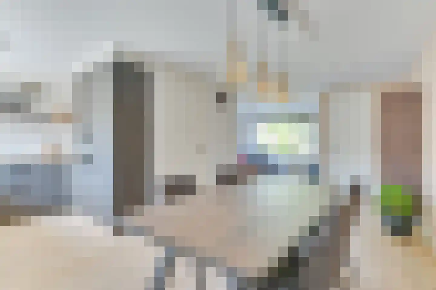 Regelhaalder 11 Warmenhuizen thumbnail 24