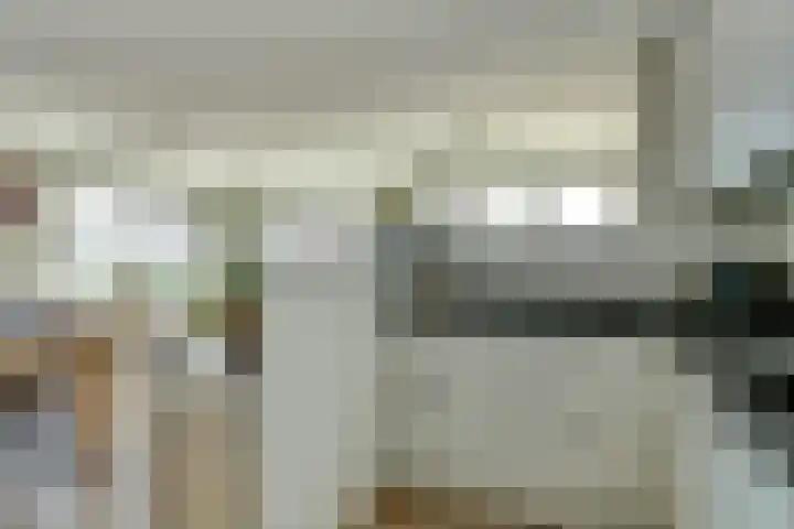 Regelhaalder 110 Warmenhuizen thumbnail 10