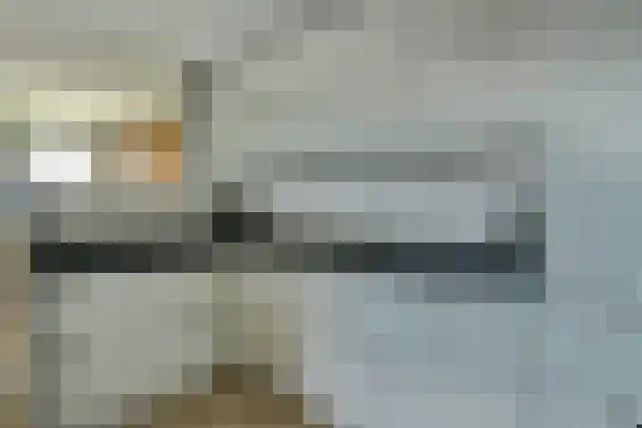 Regelhaalder 110 Warmenhuizen thumbnail 11