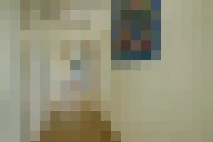 Regelhaalder 110 Warmenhuizen thumbnail 12