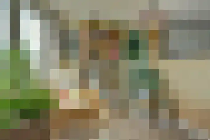 Regelhaalder 110 Warmenhuizen thumbnail 15